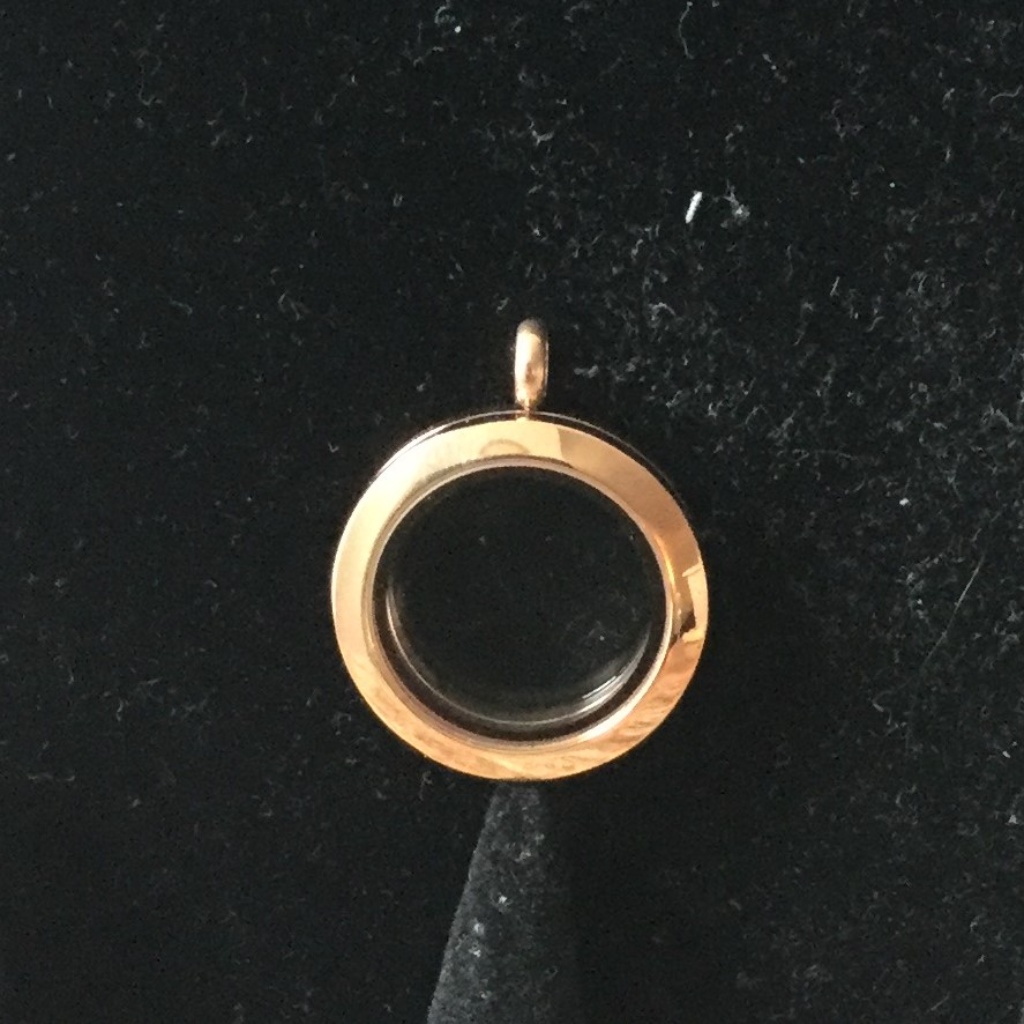 Rose Gold Medium Hinged Classic